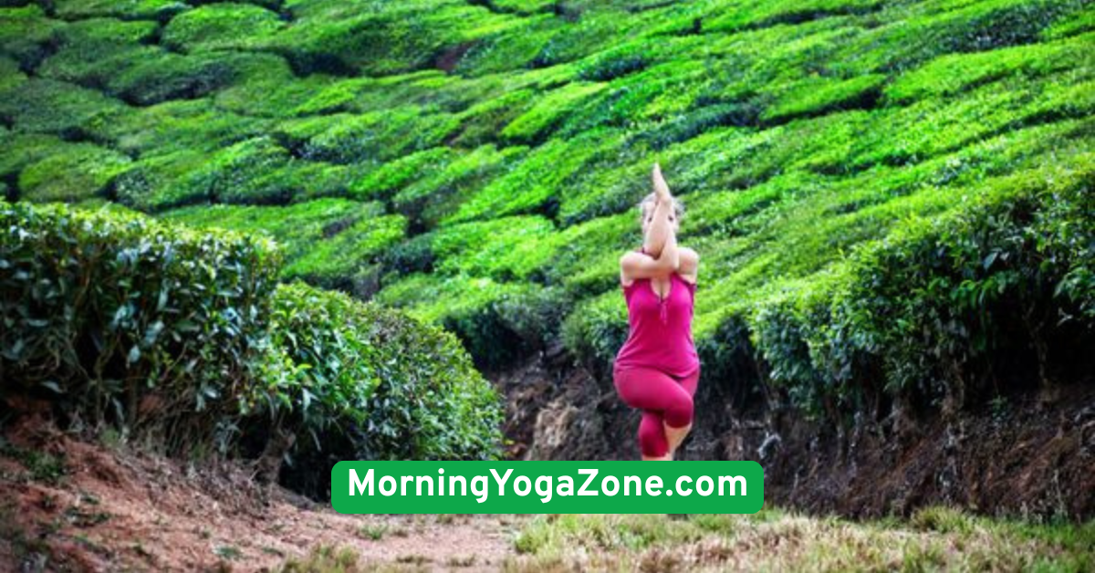 Eagle Pose (Garudasana)