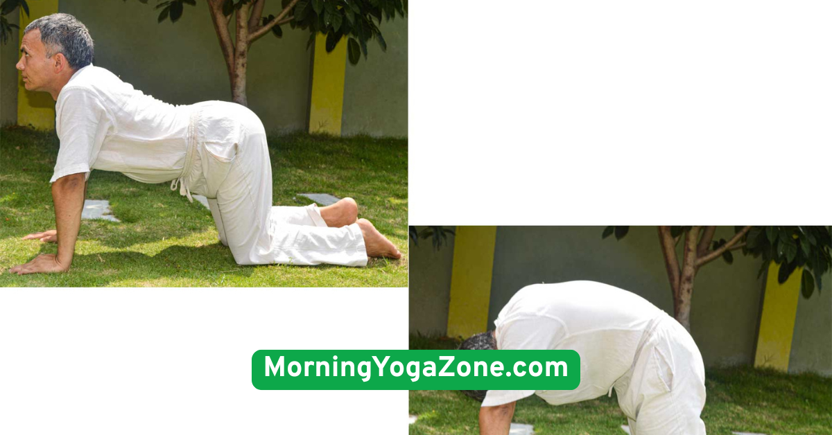 Cat-Cow Pose (Marjaryasana-Bitilasana)