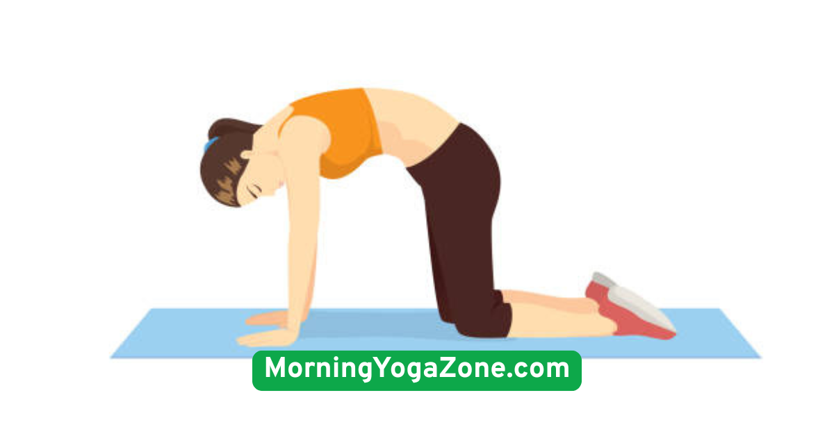 Cat-Cow Pose (Marjaryasana-Bitilasana) Flow
