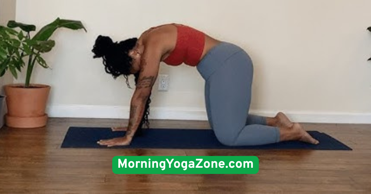 Cat-Cow Stretch (Marjaryasana-Bitilasana)