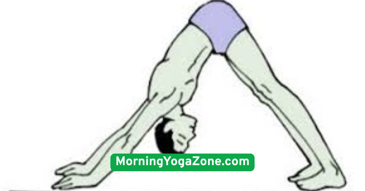 Cat-Cow Pose (Marjaryasana-Bitilasana)