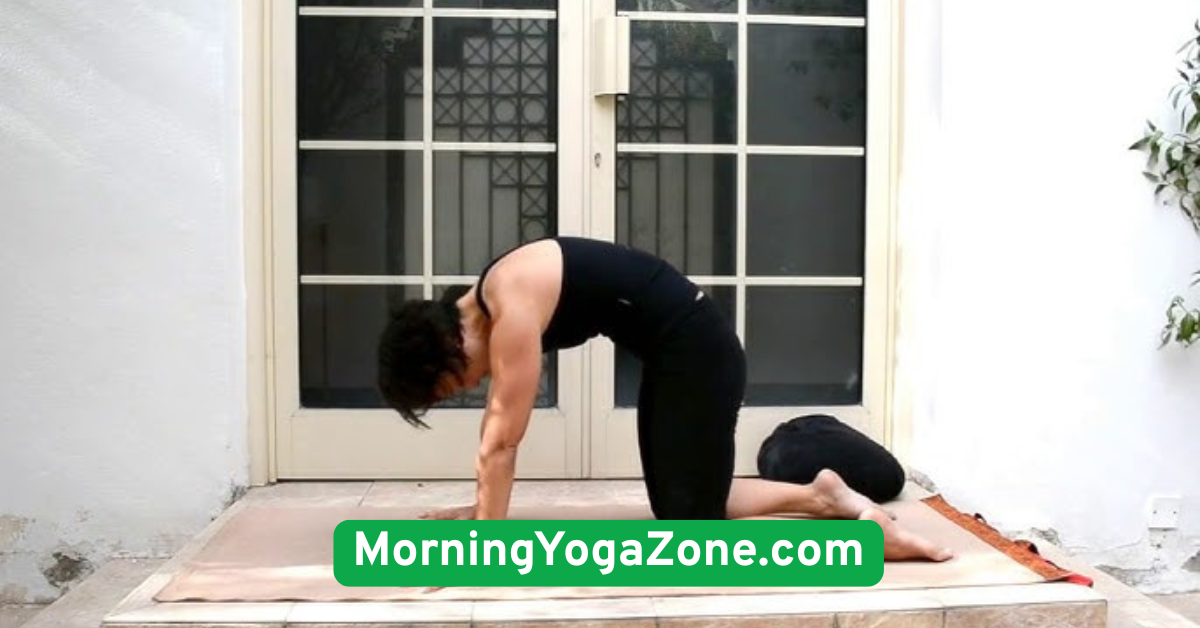Cat-Cow Stretch (Marjaryasana-Bitilasana)