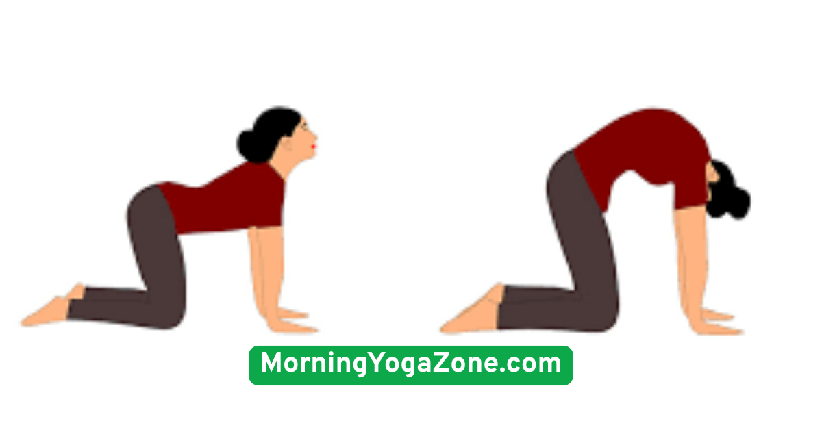  Downward Dog (Adho Mukha Svanasana)