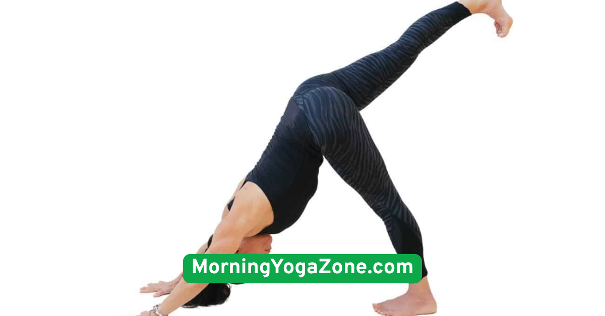 Downward Facing Dog (Adho Mukha Svanasana)